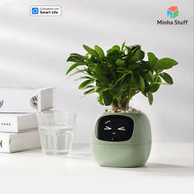 Vaso Inteligente MoodPlant - STUFF